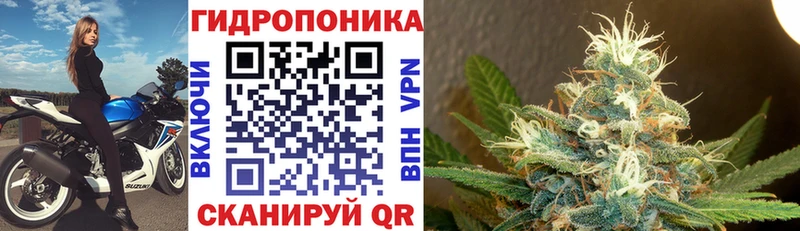 Где можно купить наркотики Киржач Галлюциногенные грибы  Альфа ПВП  Меф  Героин  KRAKEN рабочий сайт  Марихуана 