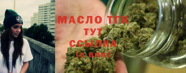 прущие грибы Бородино