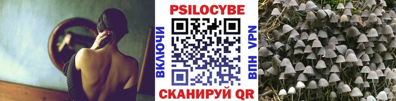 Галлюциногенные грибы MAGIC MUSHROOMS  OMG ссылка  Киржач 