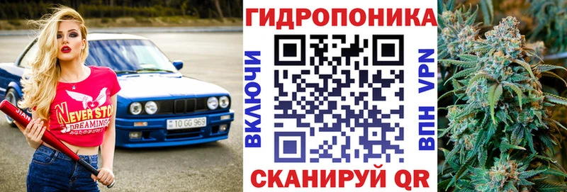 дарнет шоп  Киржач  Марихуана семена 
